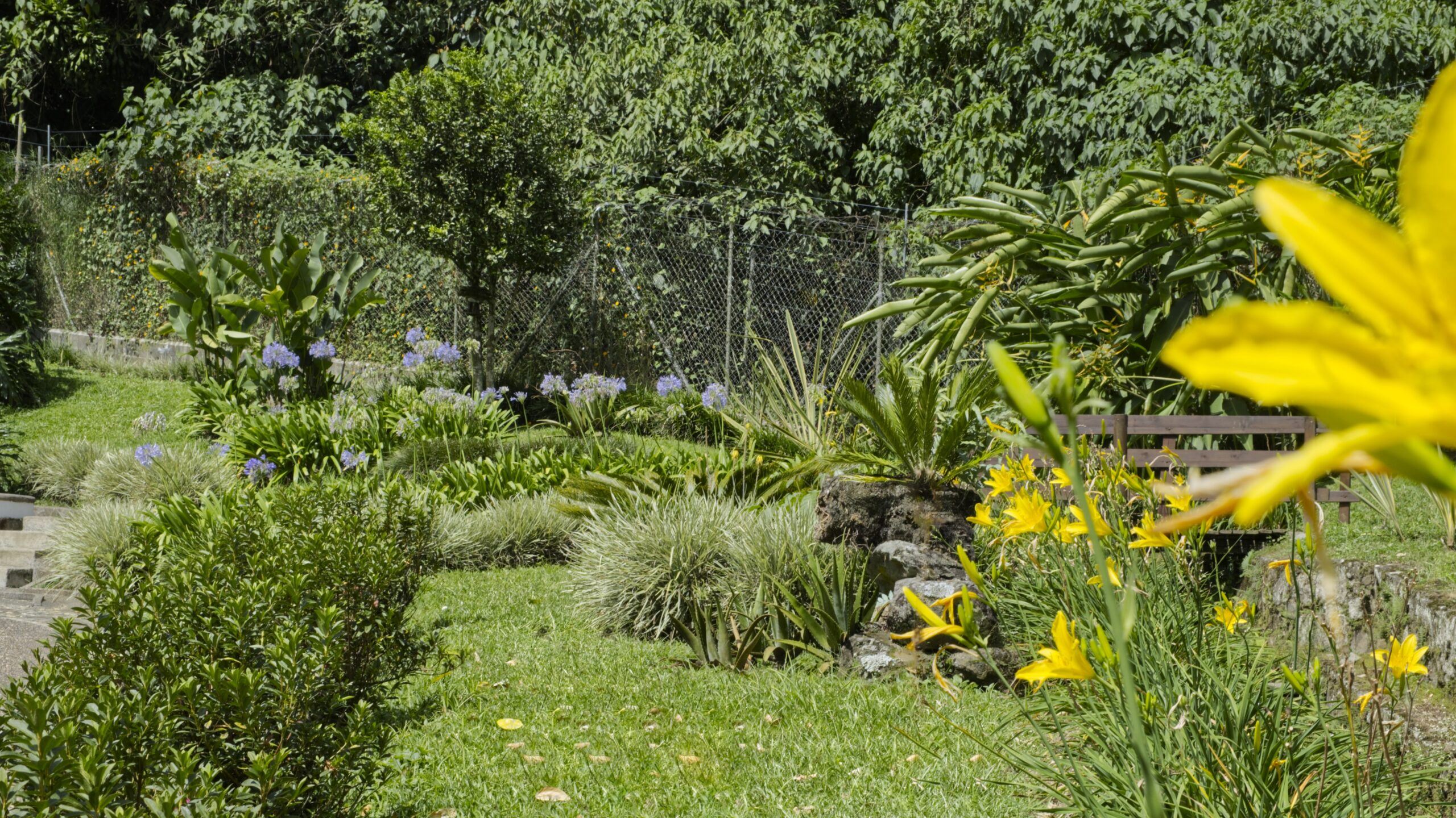 Jardines y zonas verdes de Casa La Comarca diseñados para el descanso y el contacto con la naturaleza.